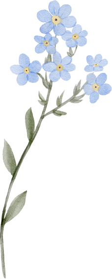 Watercolor blue wildflower